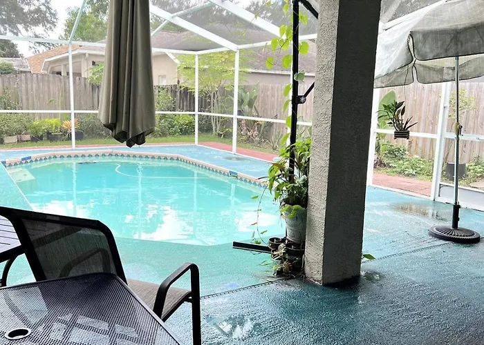 Room In Citrus Park And Carollwood, Close To The Airport & Downtown
