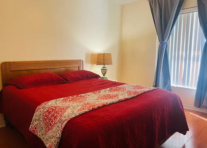 Room In Citrus Park And Carollwood, Close To The Airport & Downtown