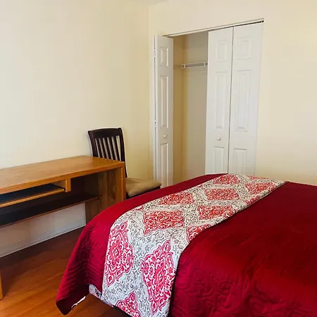 Room In Citrus Park And Carollwood, Close To The Airport & Downtown Tampa Exterior photo