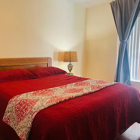 Room In Citrus Park And Carollwood, Close To The Airport & Downtown Tampa Exterior photo