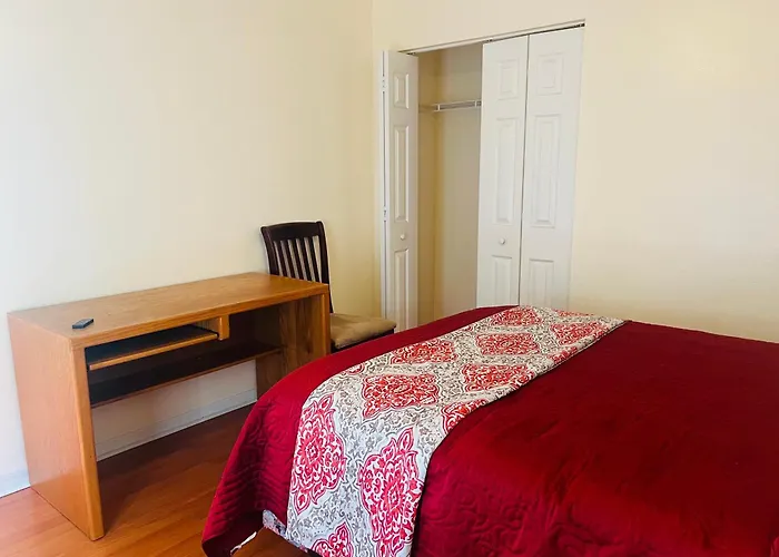 Room In Citrus Park And Carollwood, Close To The Airport & Downtown
