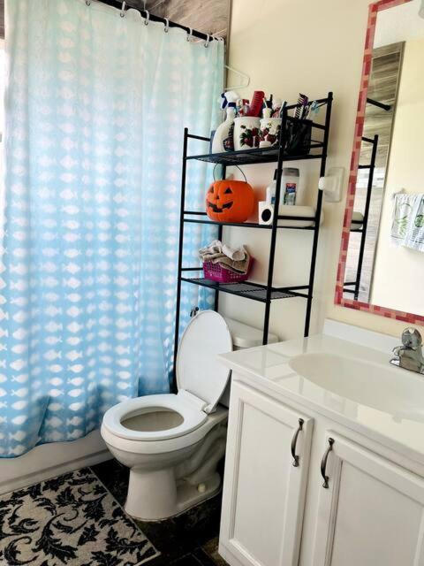 Séjour chez l'habitant In Citrus Park And Carollwood, Close To The Airport & Downtown Tampa