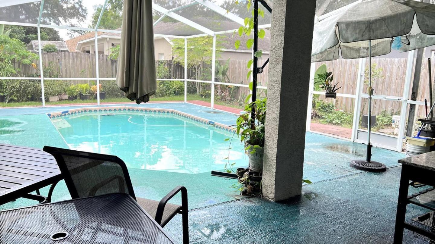 In Citrus Park And Carollwood, Close To The Airport & Downtown Séjour chez l'habitant