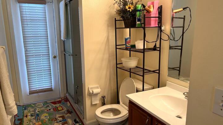 In Citrus Park And Carollwood, Close To The Airport & Downtown Séjour chez l'habitant Tampa
